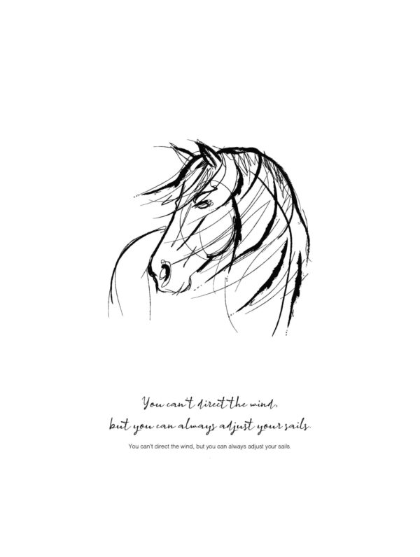 paard-tekening-poster-direct-wind-adjust-sails