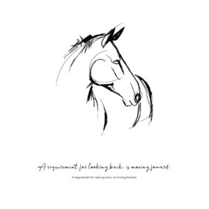 poster-requirement-looking-back-moving-forward-paard-tekening