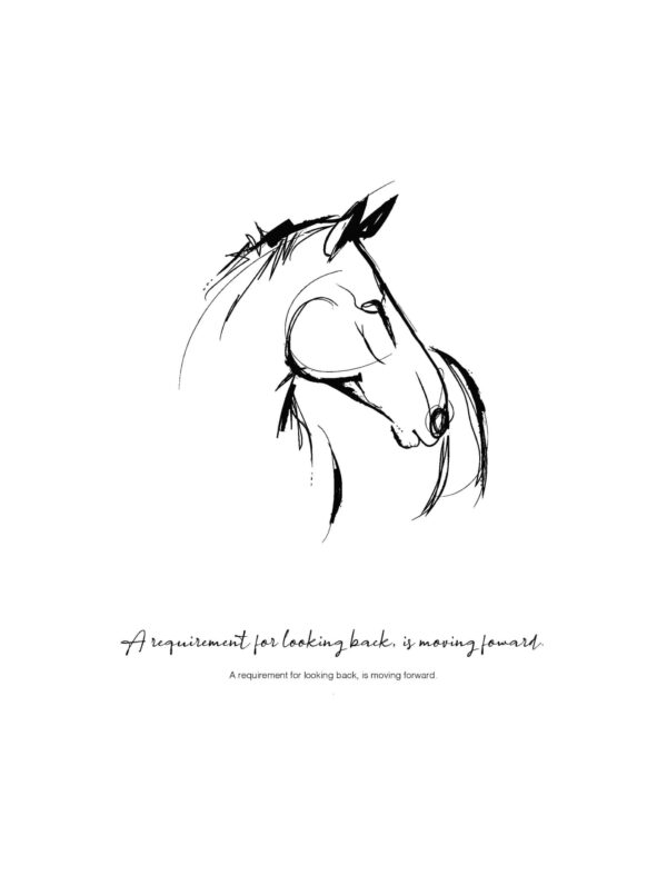 poster-requirement-looking-back-moving-forward-paard-tekening