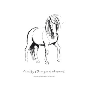 vggo-paard-tekening-poster-curiosity
