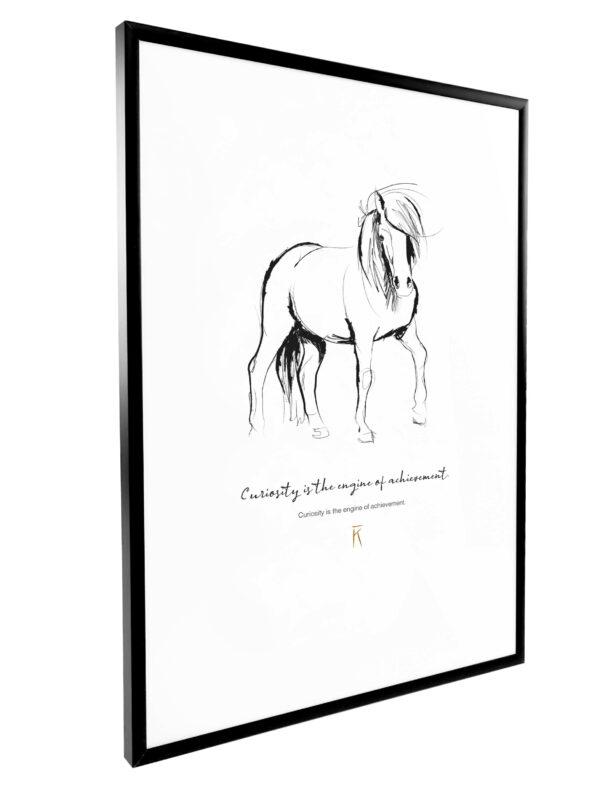 vggo-paard-tekening-poster-curiosity-lijst